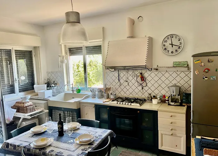 Donna Toni *